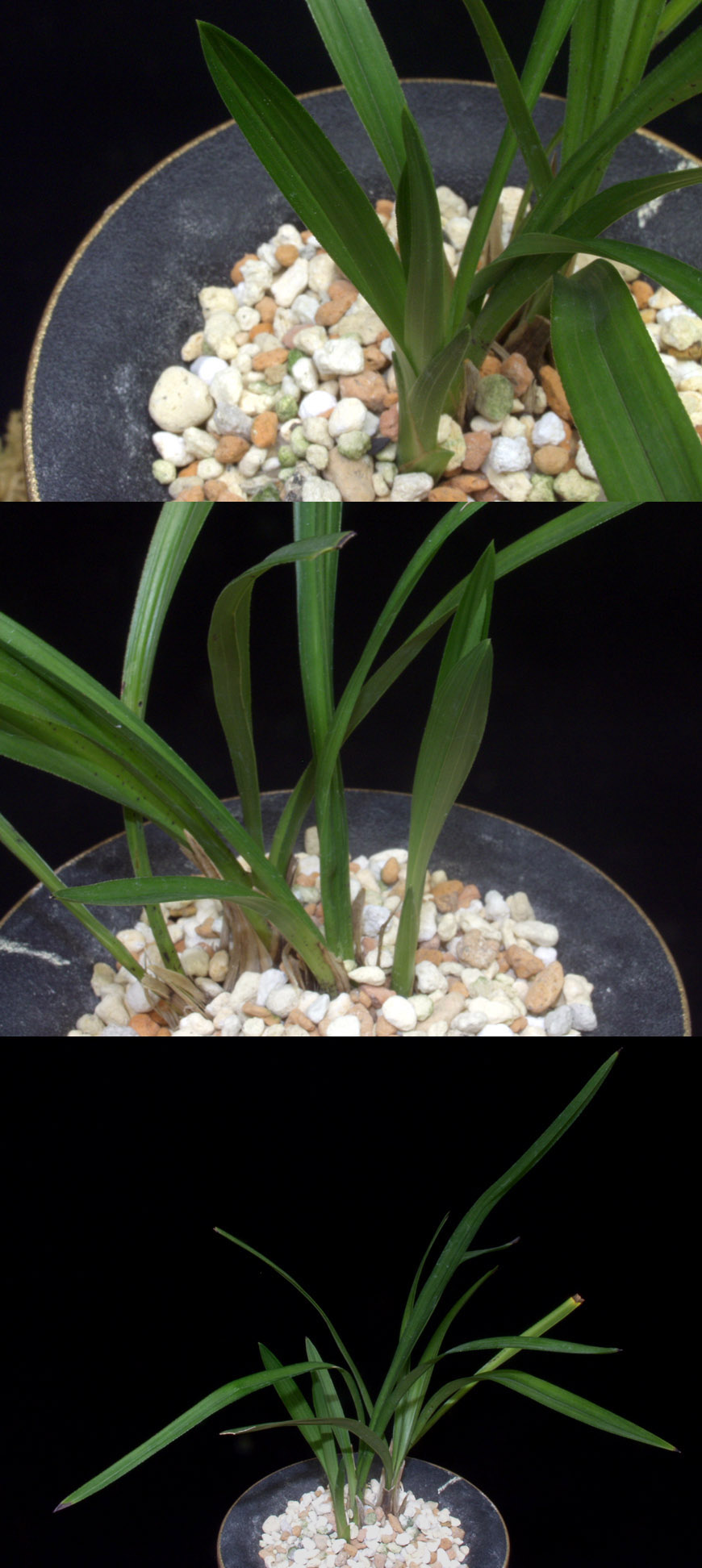 ������ ū������ �� �� �ֽ��ϴ�.