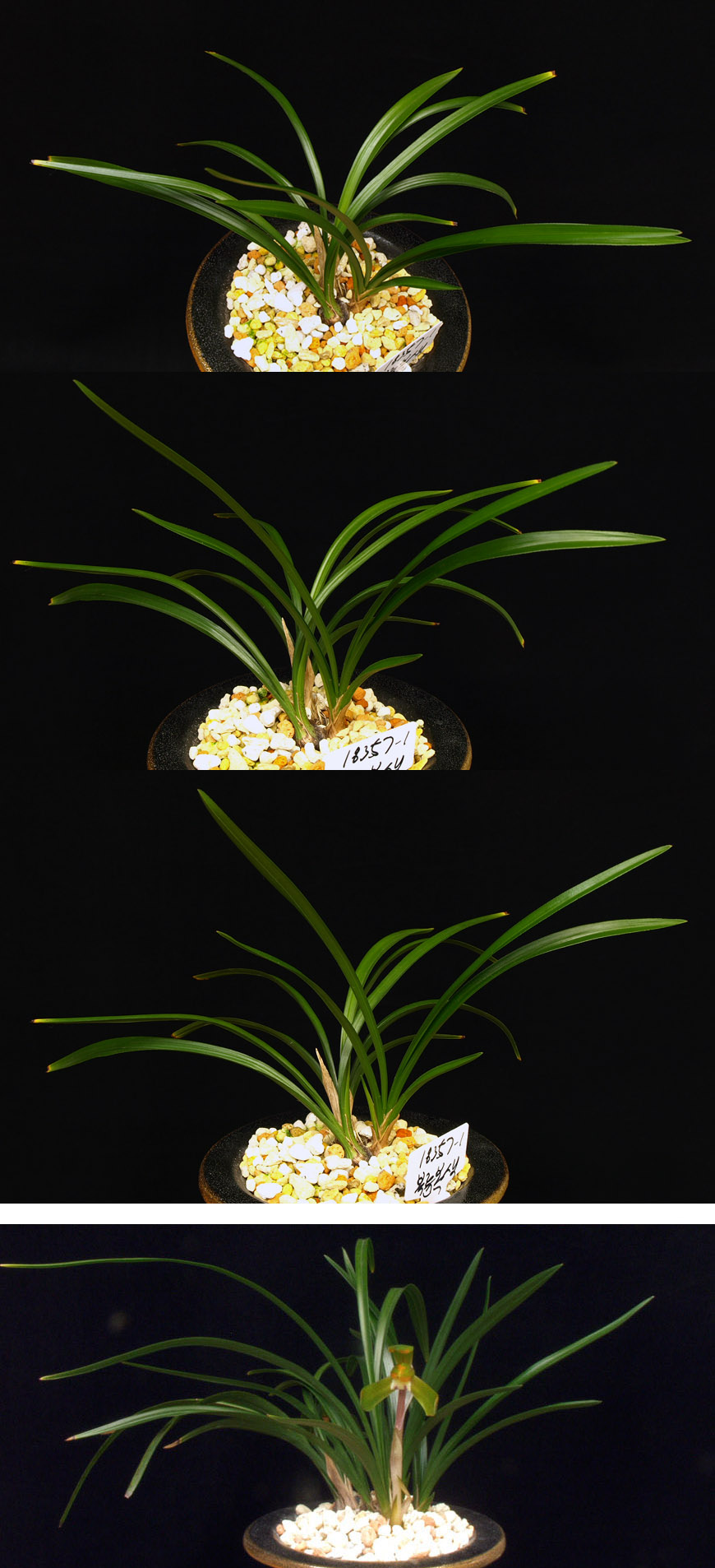  ū   ֽϴ.