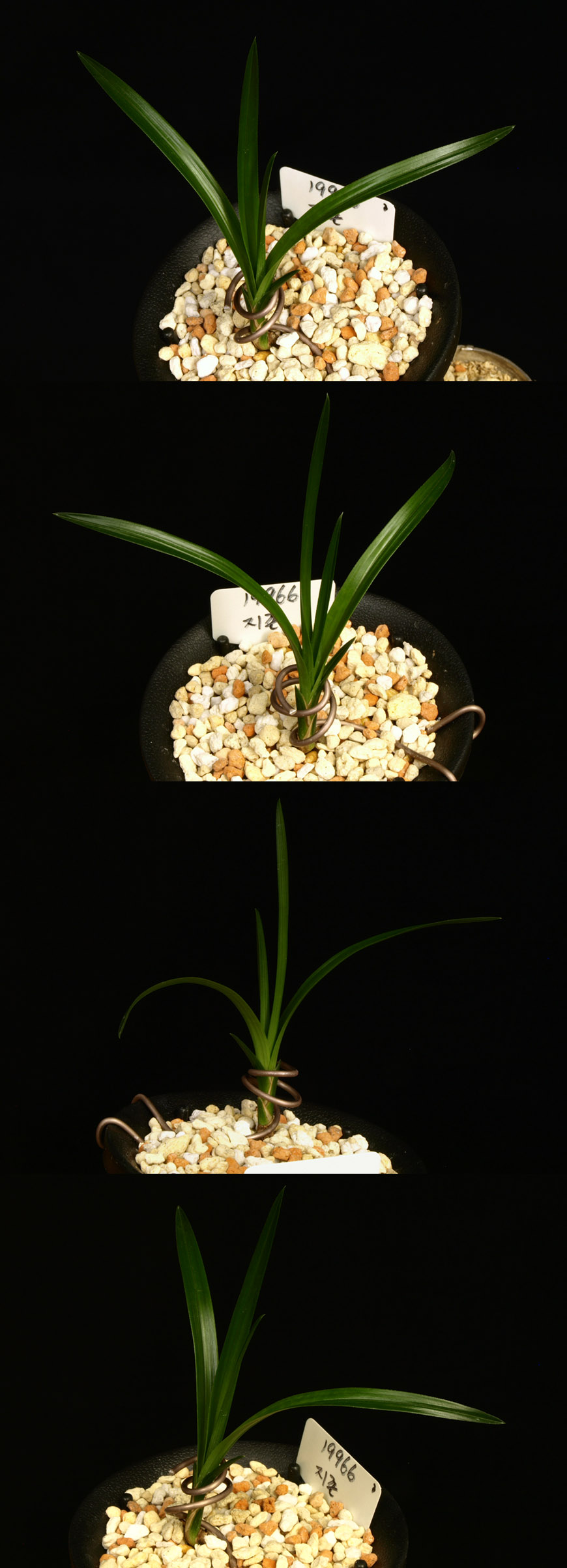  ū   ֽϴ.